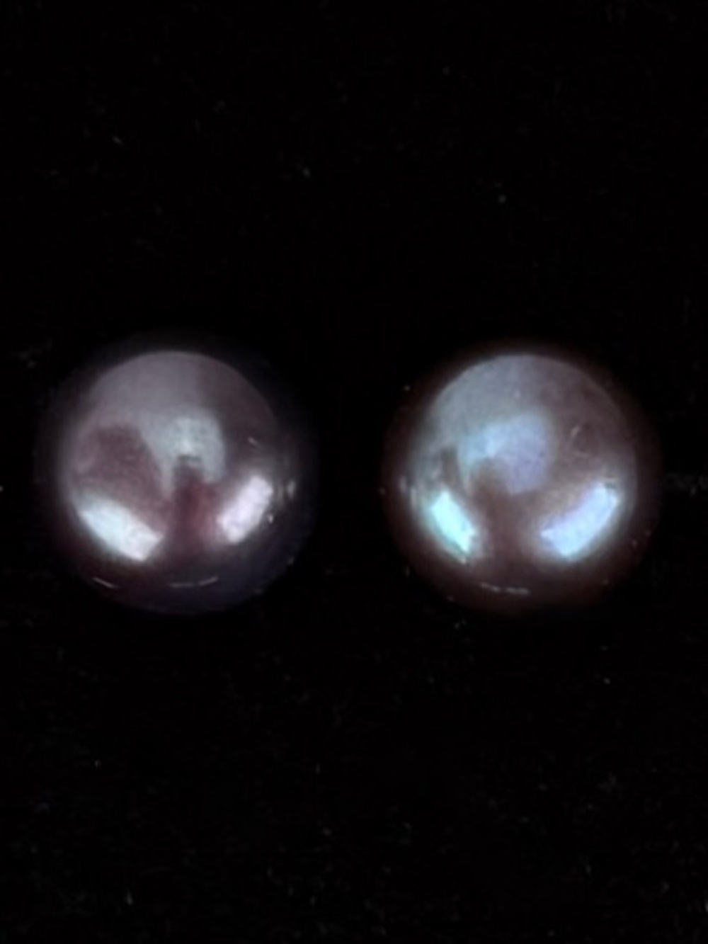 Dark Peacock Freshwater Pearl Pierced Stud Earrings
